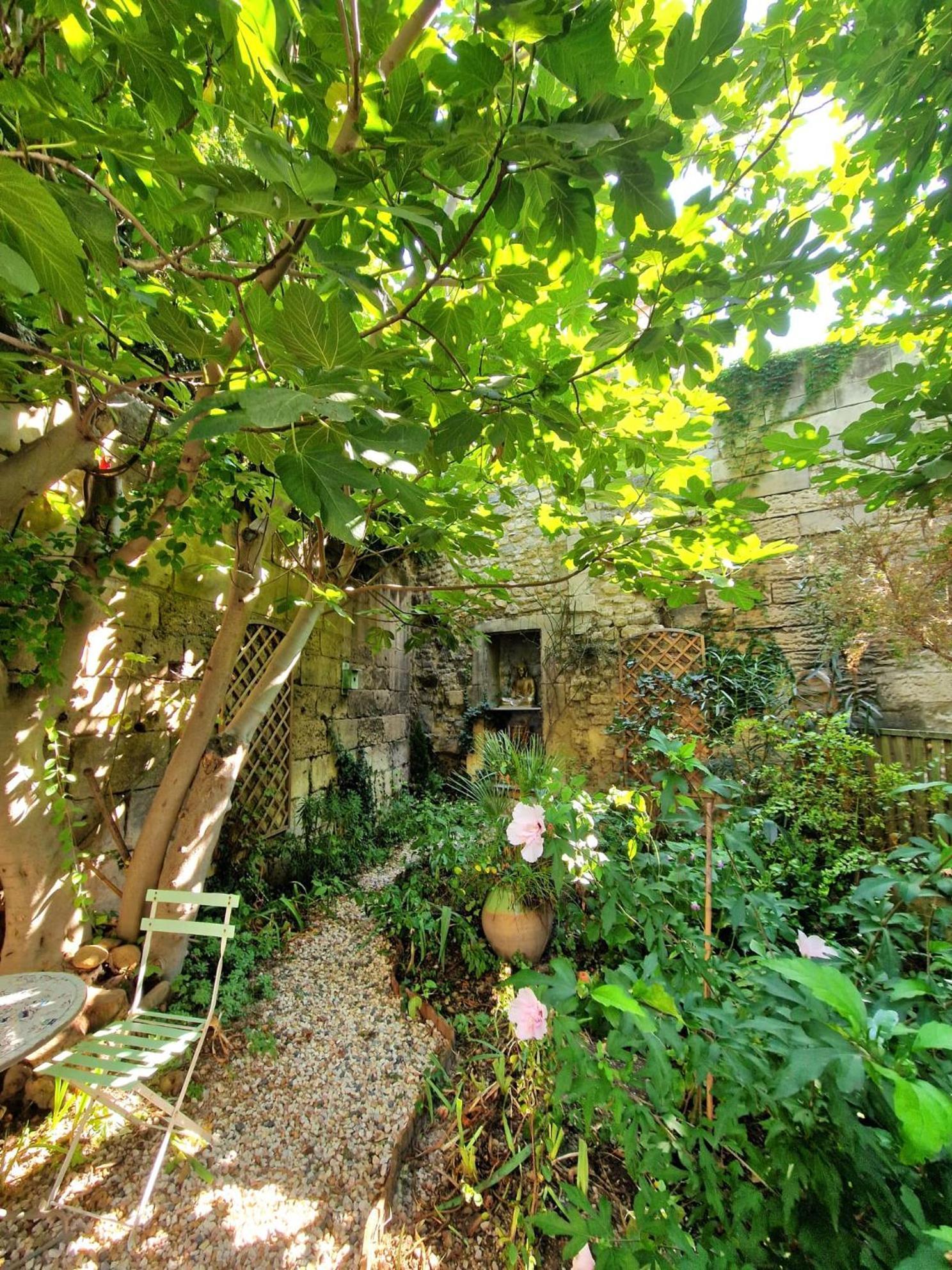 Capucines, Un Jardin Secret Dans Le Centre Historique Apartamento Arles Exterior foto